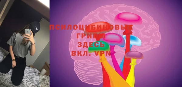 синтетический гашиш Алексин