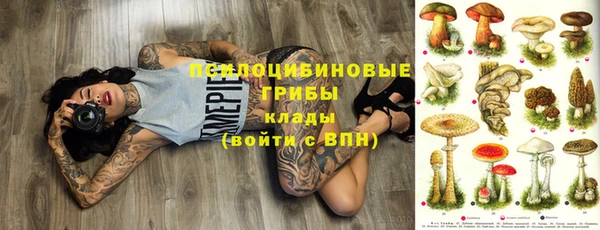 прущая мука Алзамай