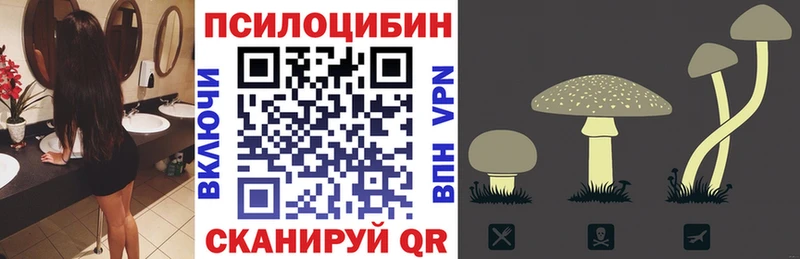 Галлюциногенные грибы мицелий  Махачкала 